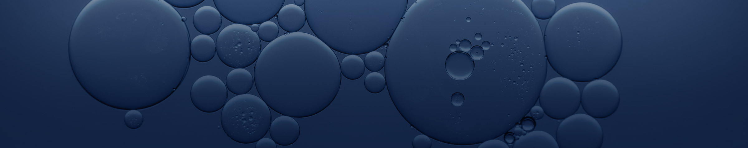 { Banner Image }