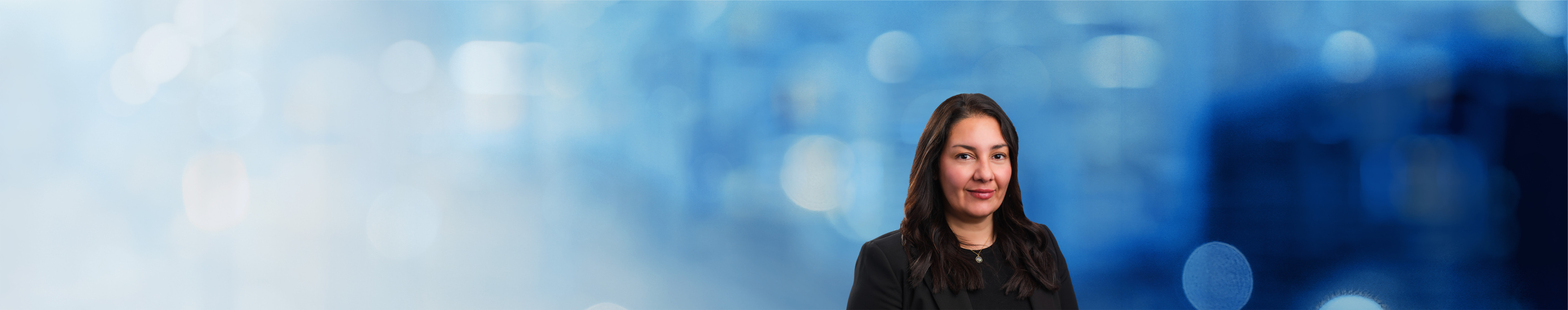 Marisa Hernandez, Honigman LLP Photo