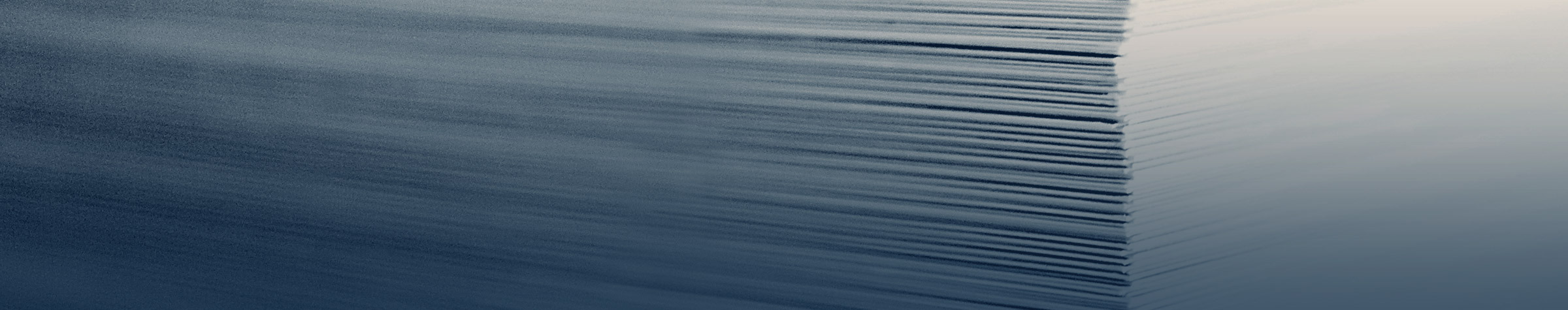 { Banner Image }